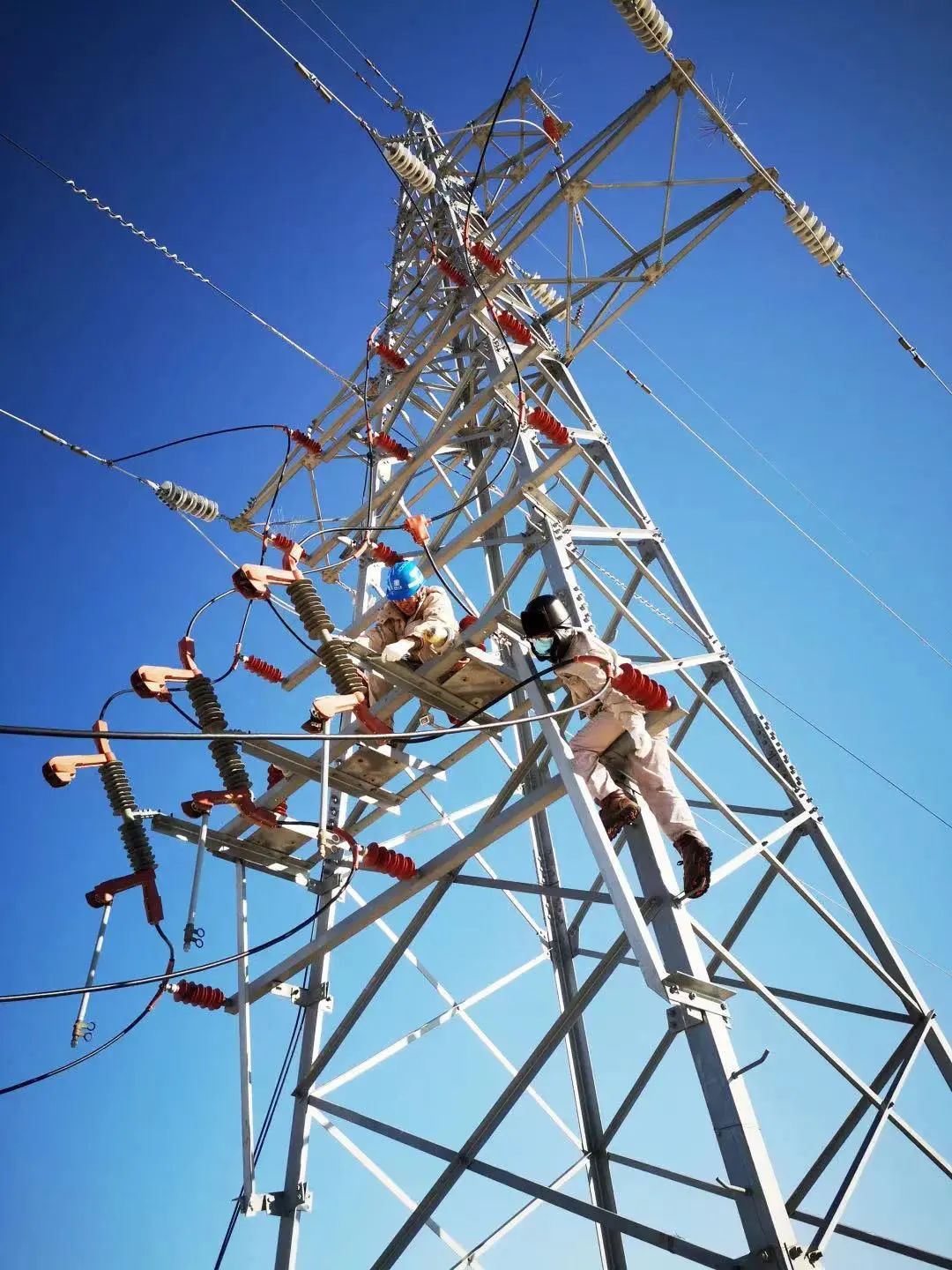 �й�����������(304am-VIP��֤)����-Official Platform