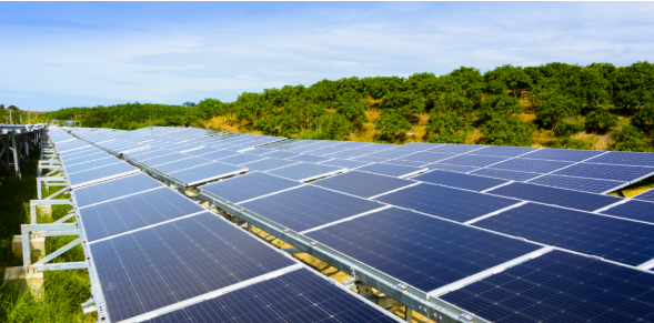 �й�����������(304am-VIP��֤)����-Official Platform