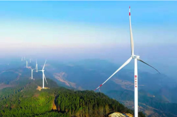 �й�����������(304am-VIP��֤)����-Official Platform