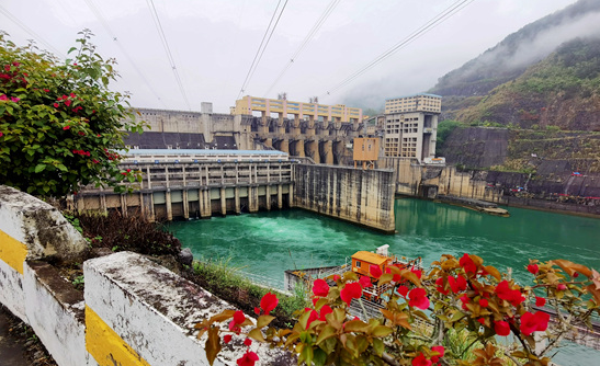 �й�����������(304am-VIP��֤)����-Official Platform