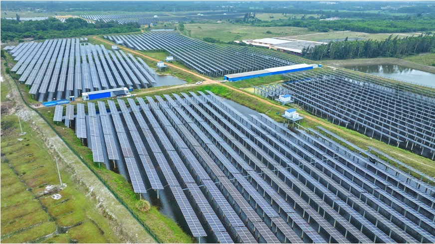 �й�����������(304am-VIP��֤)����-Official Platform