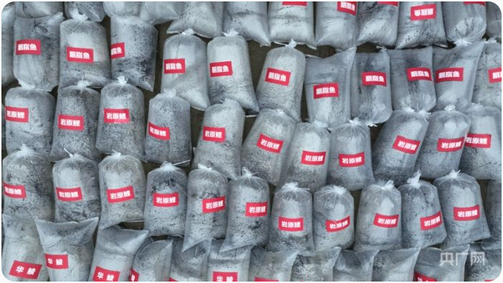 �й�����������(304am-VIP��֤)����-Official Platform