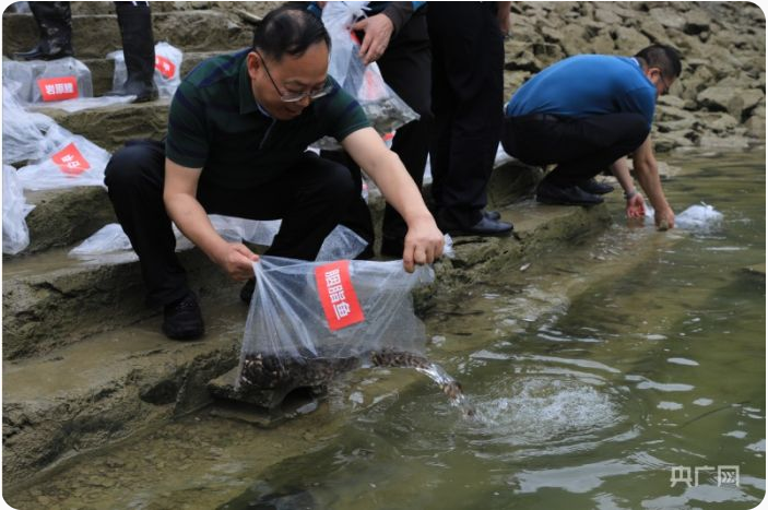 �й�����������(304am-VIP��֤)����-Official Platform