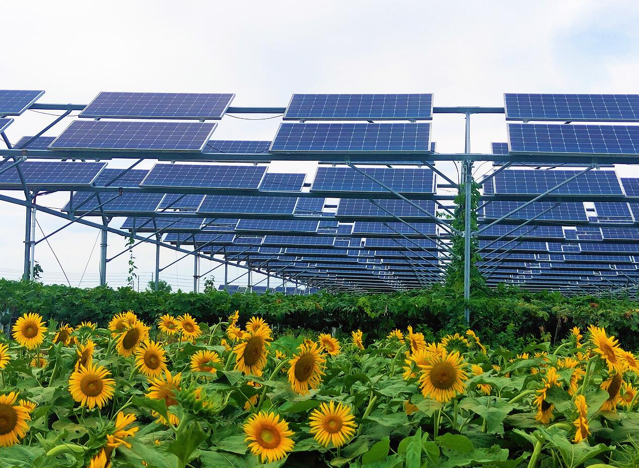 Öйú¡¤ÓÀÀû¼¯ÍÅ(304am-VIPÈÏÖ¤)¹ÙÍø-Official Platform