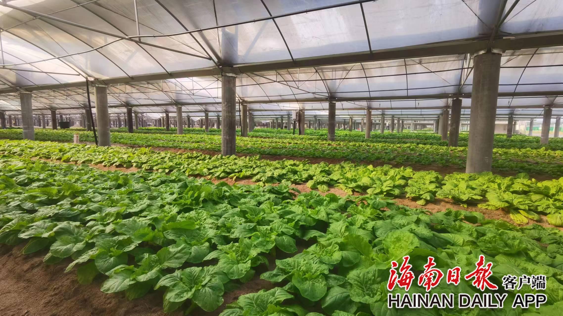 1678764010167062841.jpg ΢ÐÅͼƬ_20230314112557.jpg