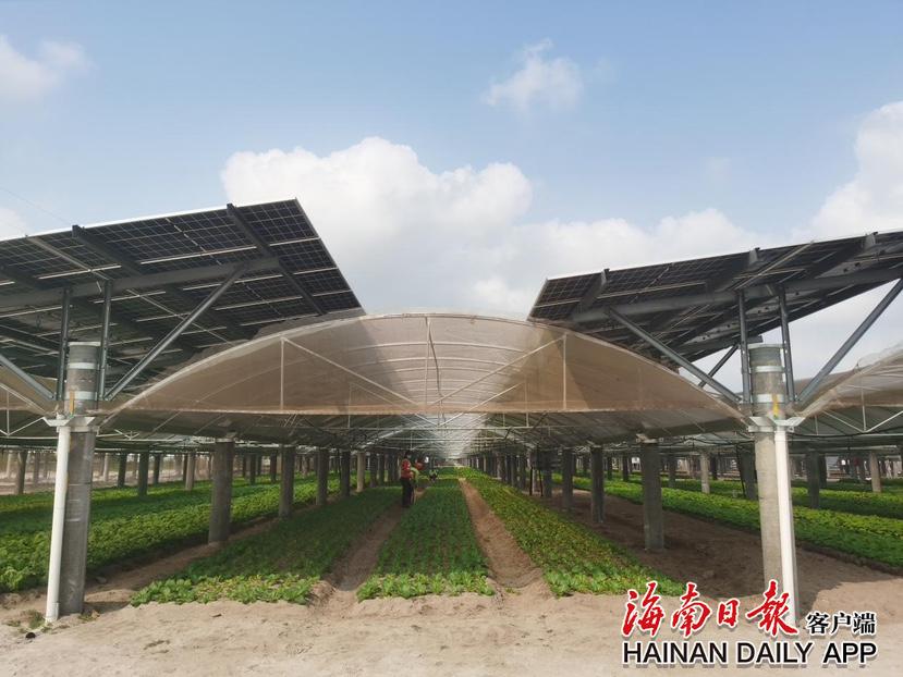 中国·永利集团(304am-VIP认证)官网-Official Platform