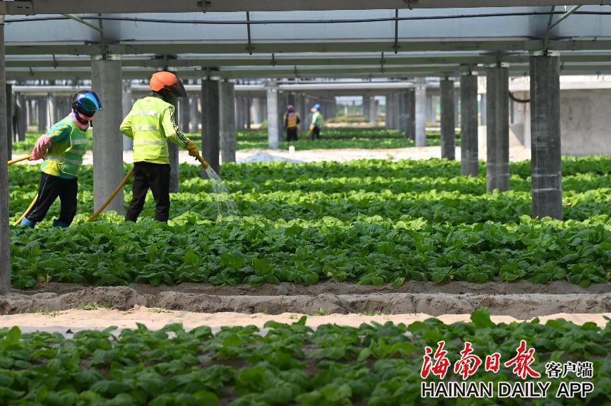 中国·永利集团(304am-VIP认证)官网-Official Platform