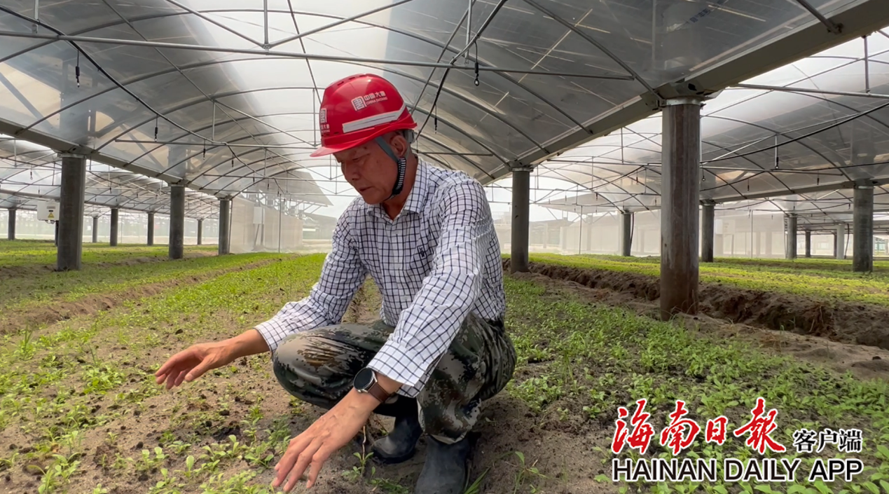 1682471122682012632.png 2c925c66878d1b0d0187b337aed80b5f.png