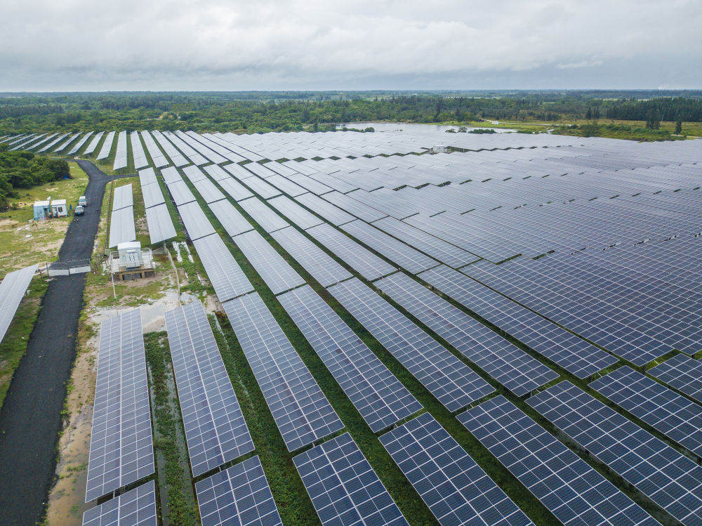 1684220896531065211.jpg 20230514185935_7038.jpg