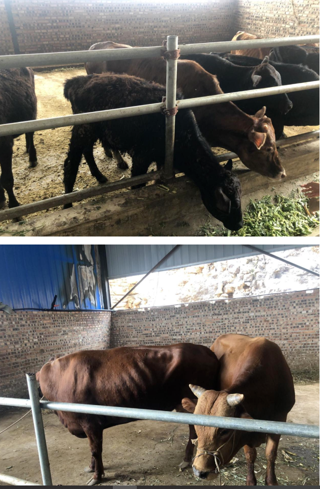 1690188111883047311.png ΢ÐŽØÍ¼_20230724165153.png