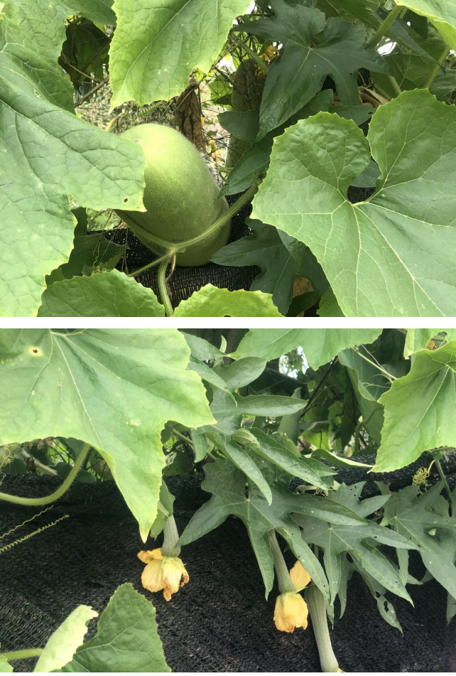 1690188144113068507.png ΢ÐŽØÍ¼_20230724165125.png