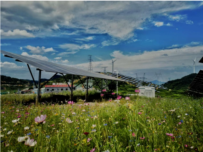 1690255420579070408.png ΢ÐŽØÍ¼_20230724165136.png