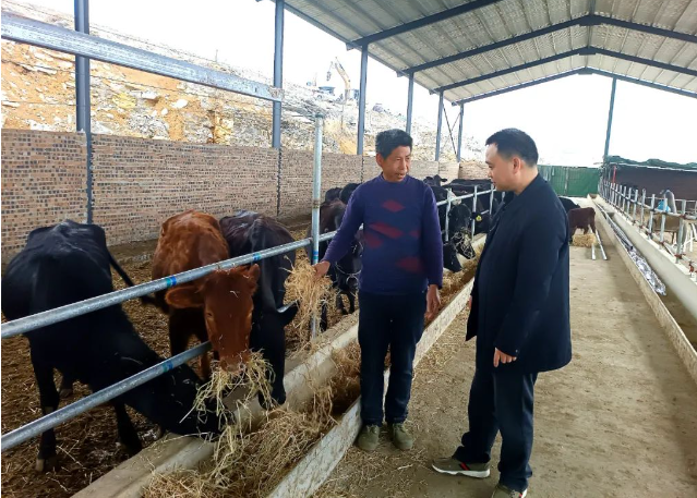 1690255469325017117.png ΢ÐŽØÍ¼_20230725113716.png