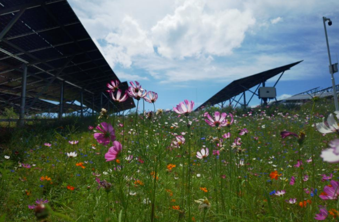 1690269879091061959.png ΢ÐŽØÍ¼_20230725153407.png