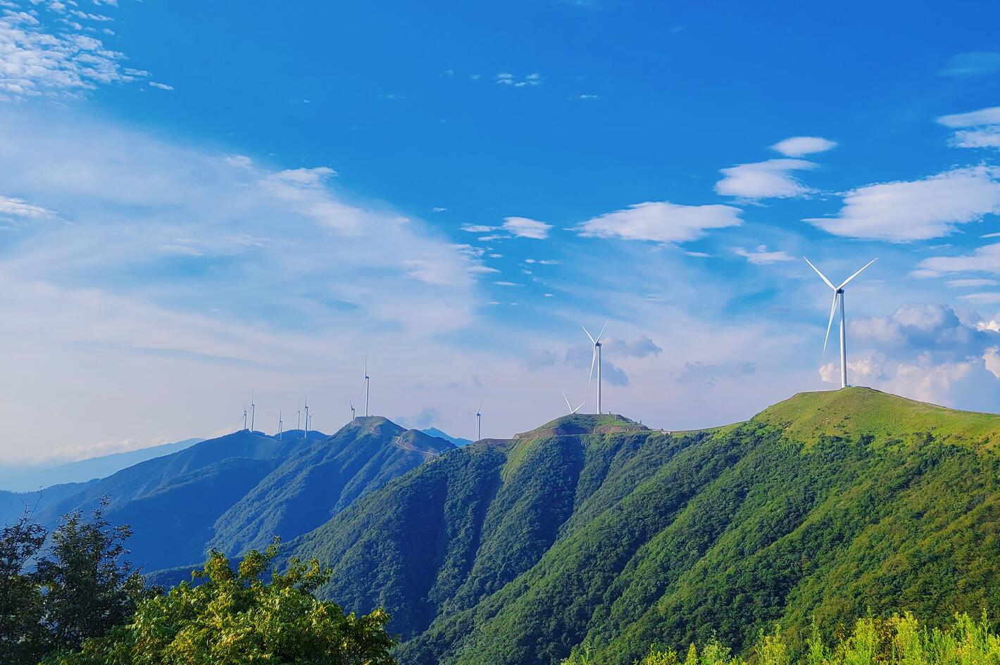 й(304am-VIP֤)-Official Platform