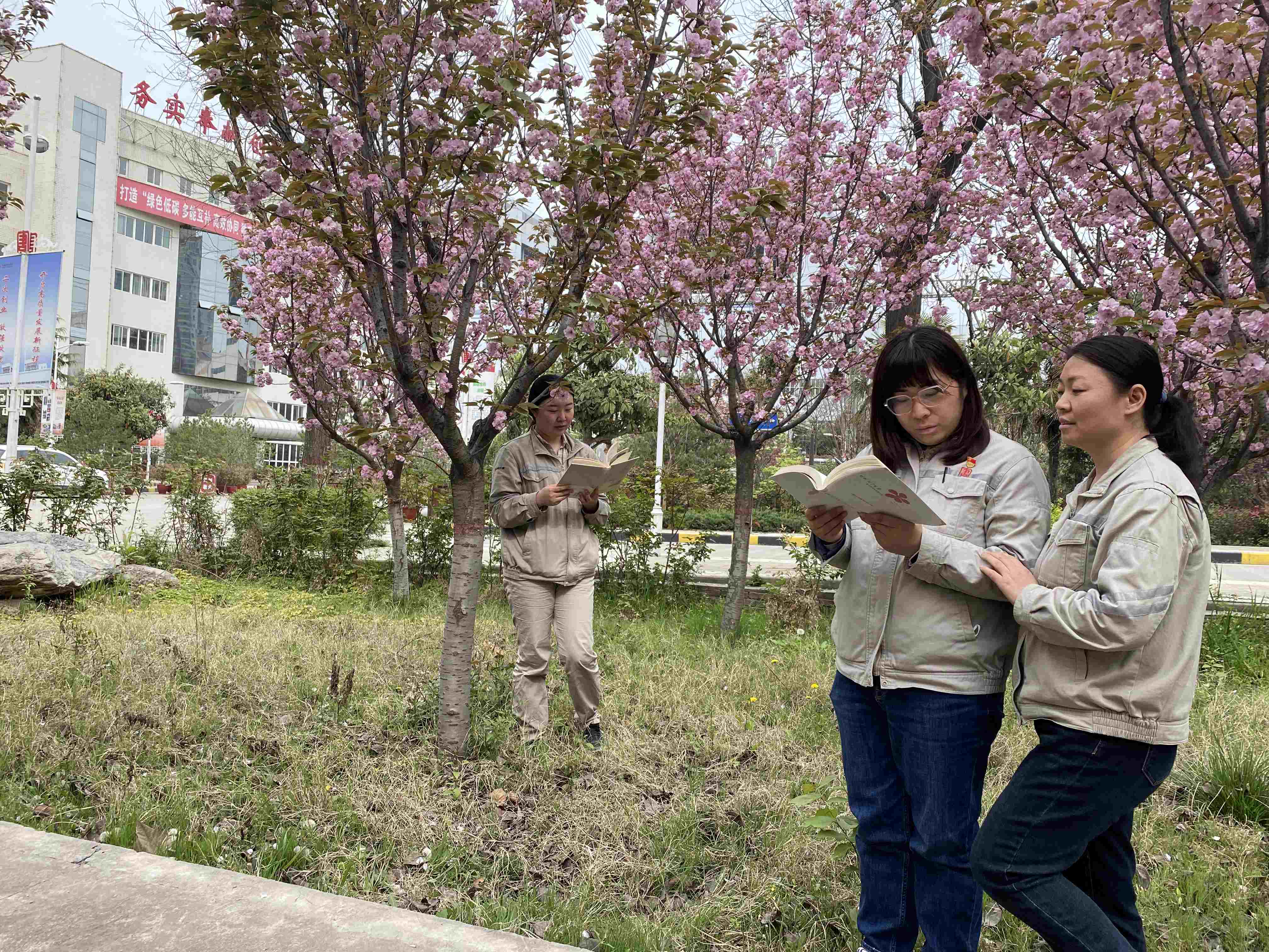 й(304am-VIP֤)-Official Platform