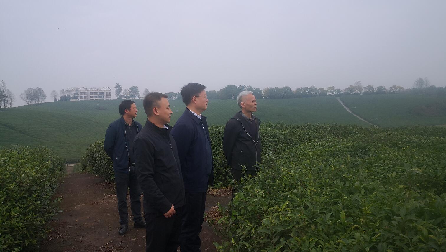 й(304am-VIP֤)-Official Platform