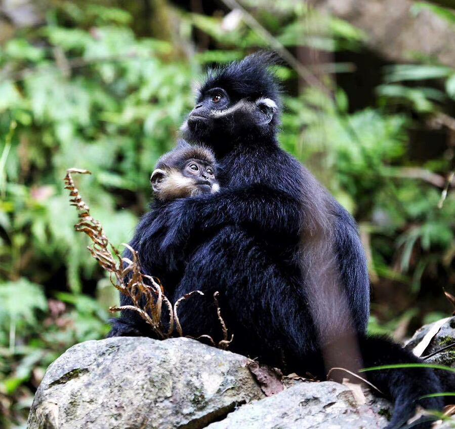 й(304am-VIP֤)-Official Platform