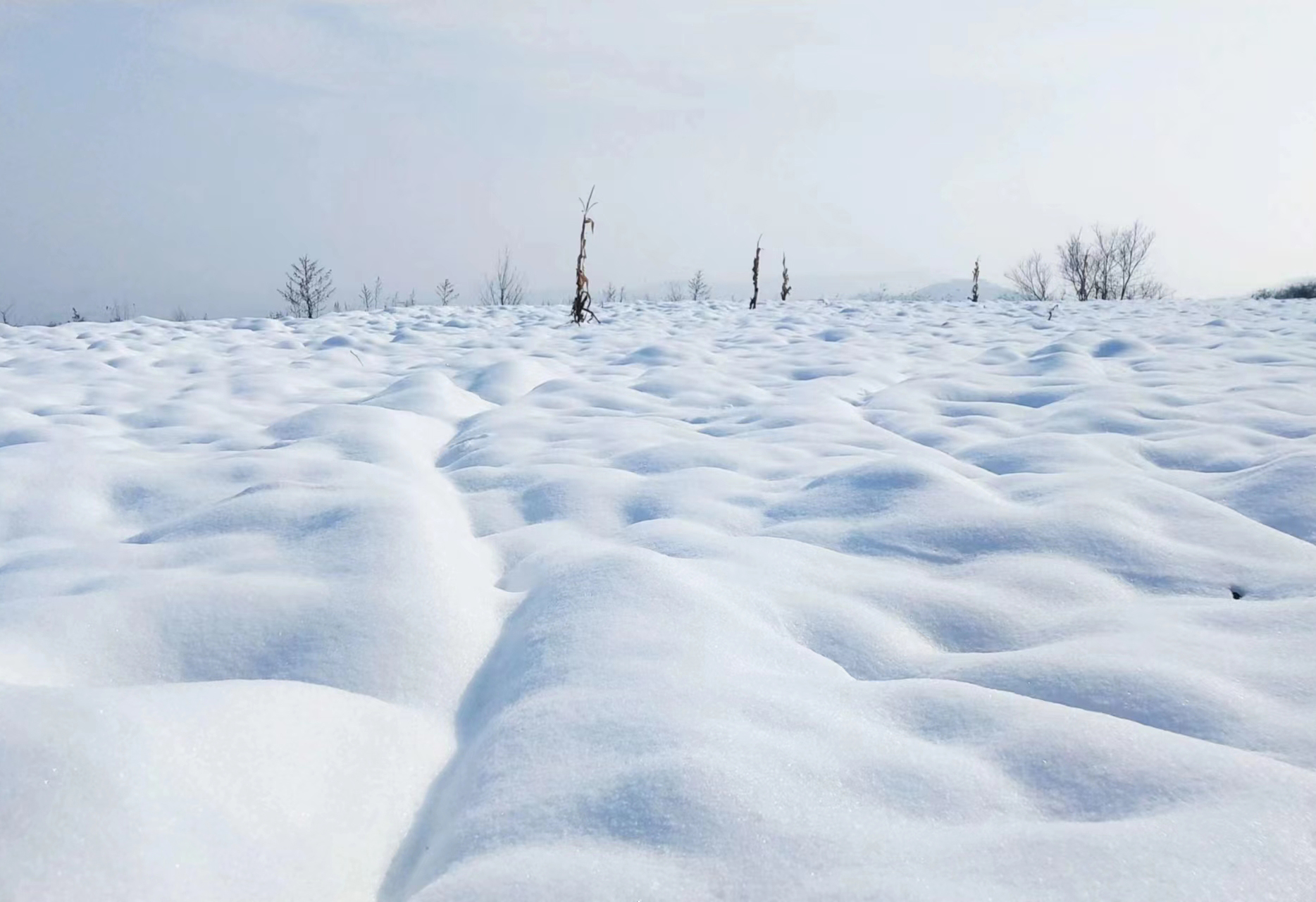 й(304am-VIP֤)-Official Platform