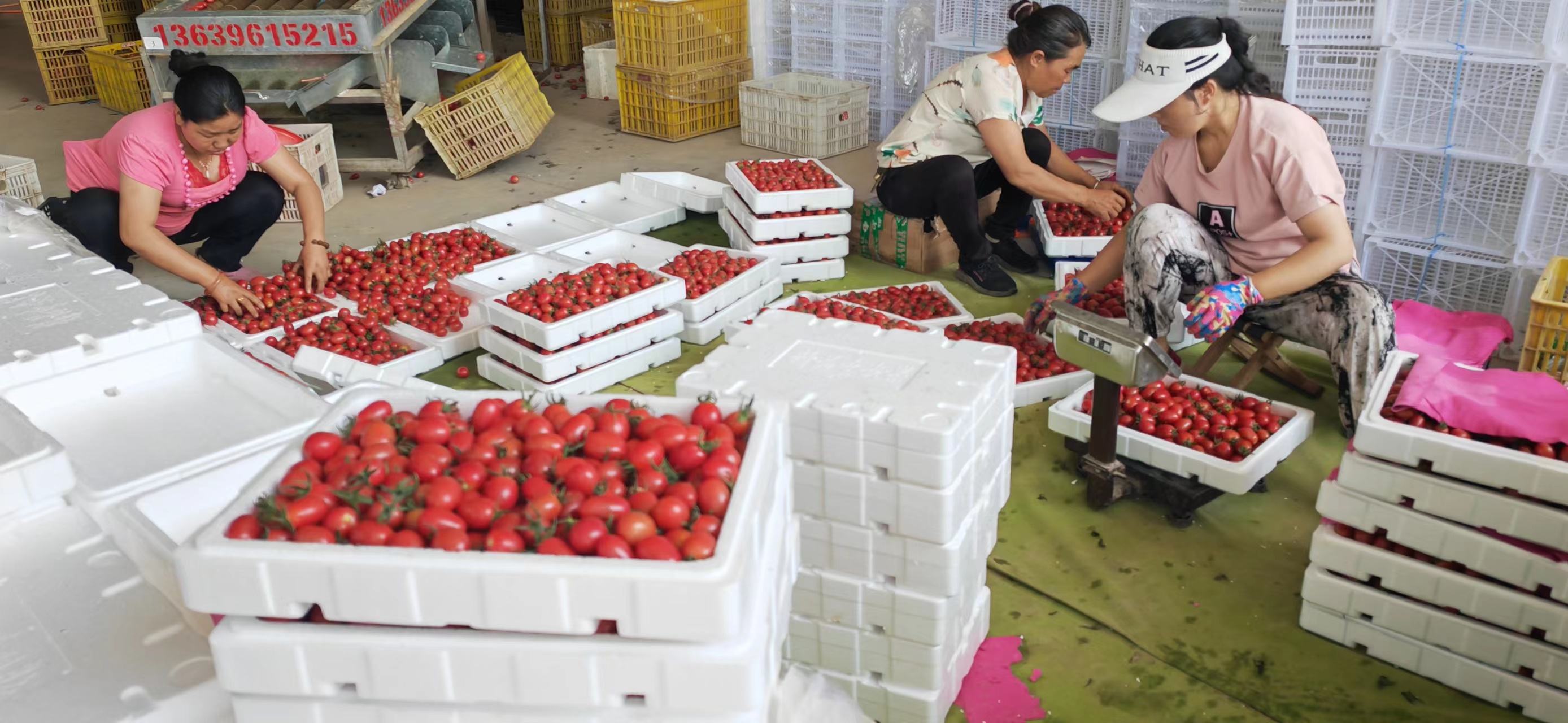 й(304am-VIP֤)-Official Platform