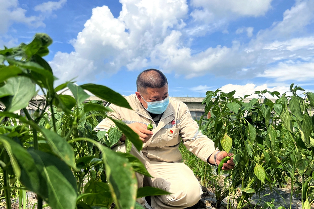 й(304am-VIP֤)-Official Platform